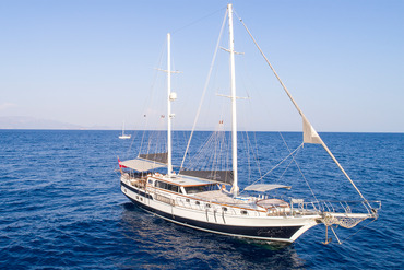 Grand Sailor Photo 6